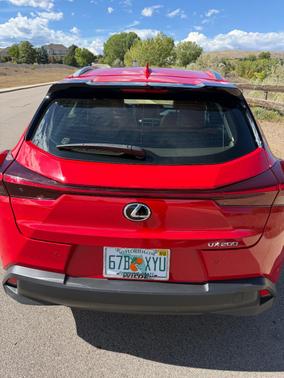 Red 2019 Lexus UX 200 F Sport
