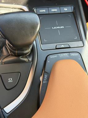 Red 2019 Lexus UX 200 F Sport