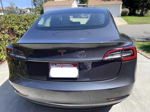 2019 Tesla Model 3 Standard Range Plus
