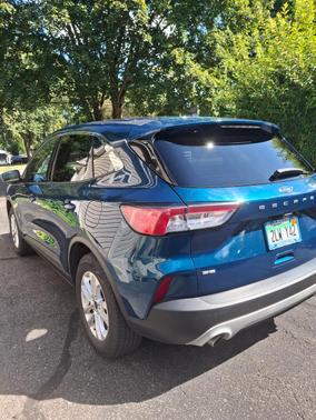 Green 2020 Ford Escape SE