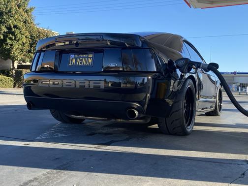 Black 2003 Ford Mustang SVT Cobra