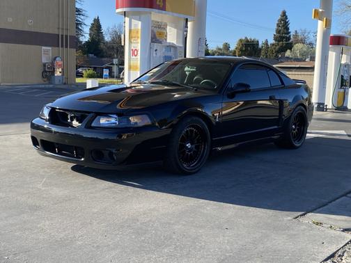 Black 2003 Ford Mustang SVT Cobra
