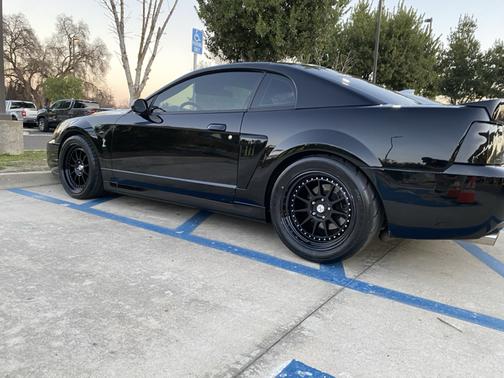 Black 2003 Ford Mustang SVT Cobra