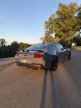Blue 2024 Ford Mustang EcoBoost