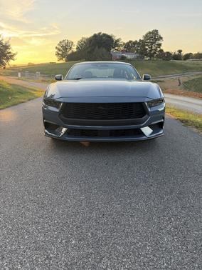 Blue 2024 Ford Mustang EcoBoost