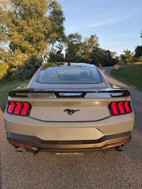 Blue 2024 Ford Mustang EcoBoost