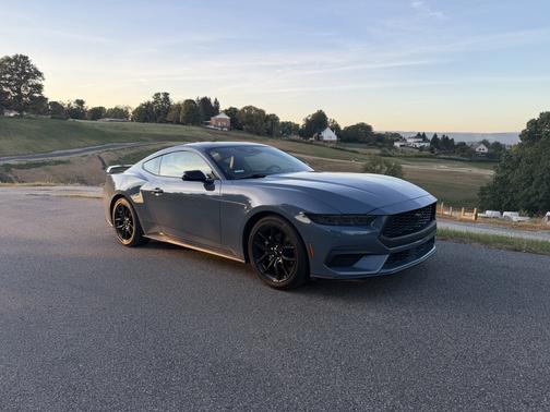 Blue 2024 Ford Mustang EcoBoost