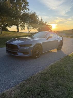 Blue 2024 Ford Mustang EcoBoost
