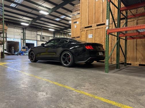 Black 2019 Ford Mustang Bullitt