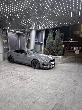 2018 Ford Shelby GT350 Base