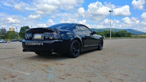 2003 Ford Mustang SVT Cobra
