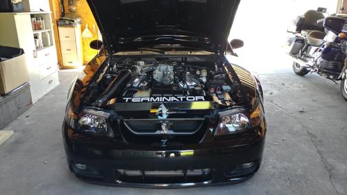 2003 Ford Mustang SVT Cobra