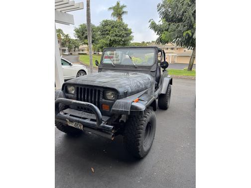 1993 Jeep Wrangler S