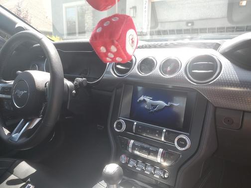Black 2019 Ford Mustang GT Premium