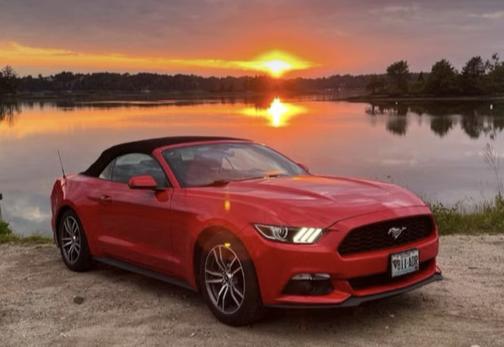 Red 2016 Ford Mustang EcoBoost Premium