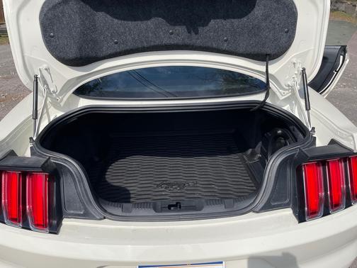 2015 Ford Mustang GT 50 Years Limited Edition