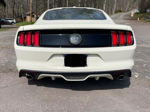 2015 Ford Mustang GT 50 Years Limited Edition