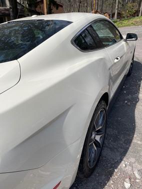 2015 Ford Mustang GT 50 Years Limited Edition