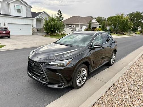 Black 2024 Lexus NX 350 Luxury