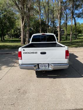 White 2000 Dodge Dakota SLT