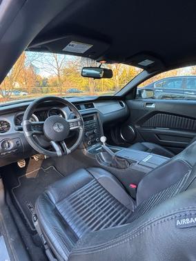 2010 Ford Mustang Shelby GT500