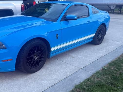 Blue 2013 Ford Mustang V6 Premium