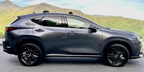 Gray 2025 Lexus NX 450h+ Luxury AWD