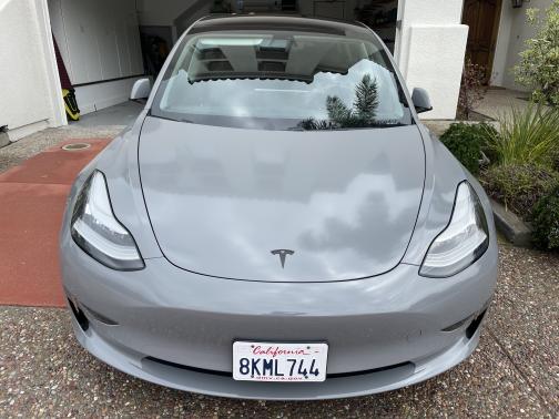 Photo 1 of 13 of 2019 Tesla Model 3 Standard Range