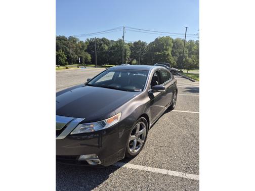Gray 2009 Acura TL Technology