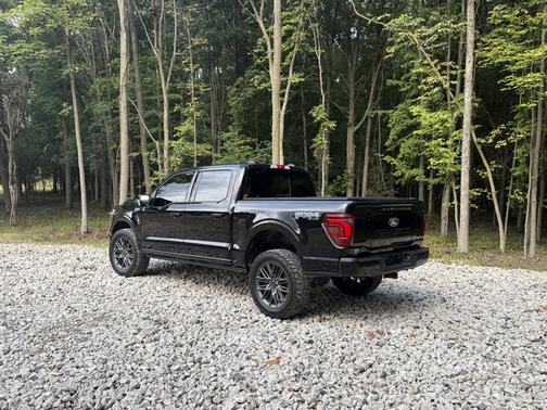 Black 2024 Ford F-150 Platinum