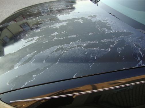2003 Buick Regal LS