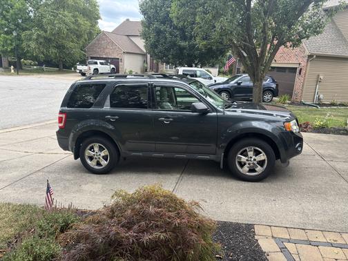 Gray 2009 Ford Escape XLT