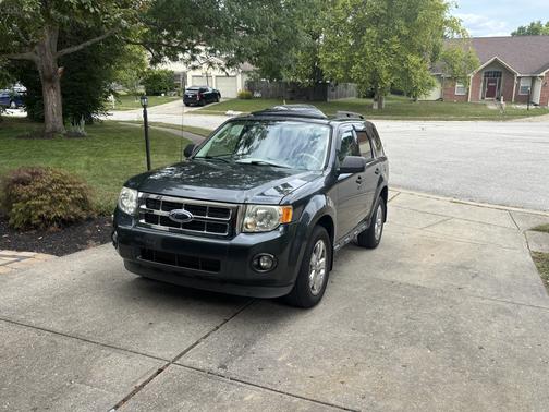 Gray 2009 Ford Escape XLT