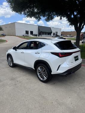 White 2022 Lexus NX 350 Luxury