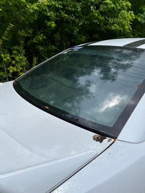 1999 Ford Mustang GT