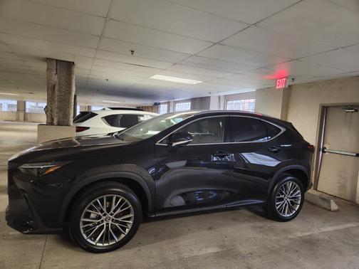 Black 2023 Lexus NX 350 Luxury