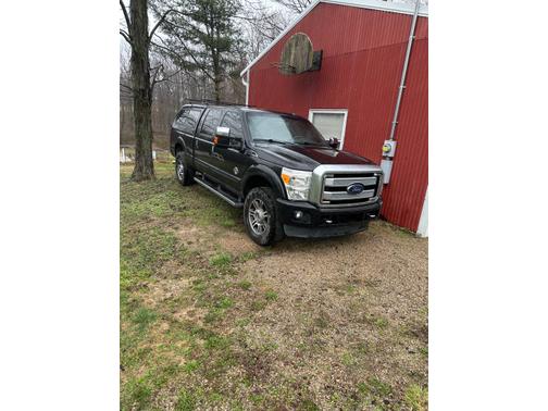 2015 Ford F-250 Platinum