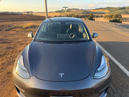 Gray 2022 Tesla Model 3 Base