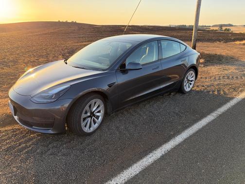 Gray 2022 Tesla Model 3 Base