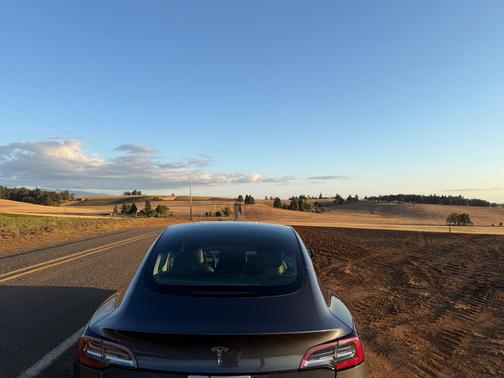 Gray 2022 Tesla Model 3 Base