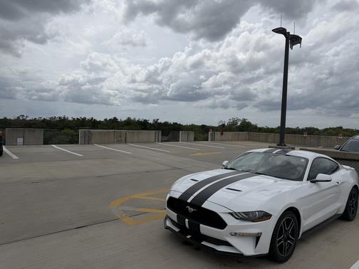 2019 Ford Mustang EcoBoost Premium