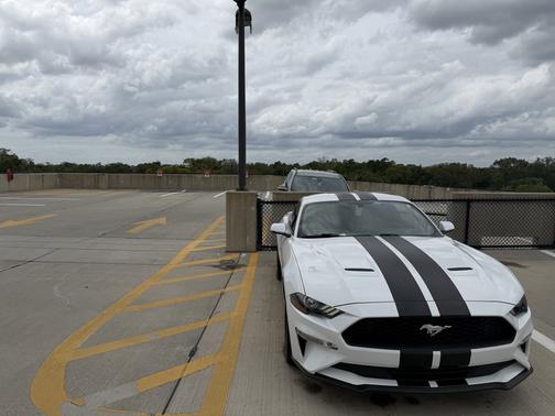 2019 Ford Mustang EcoBoost Premium