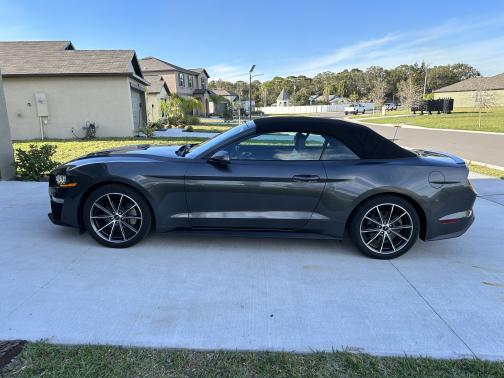 Gray 2019 Ford Mustang EcoBoost Premium