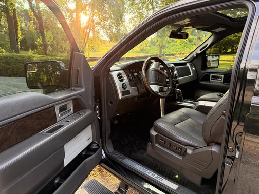 Black 2013 Ford F-150 Platinum