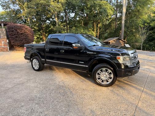 Black 2013 Ford F-150 Platinum