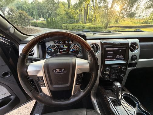 Black 2013 Ford F-150 Platinum