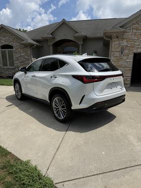 2022 Lexus NX 350 Luxury