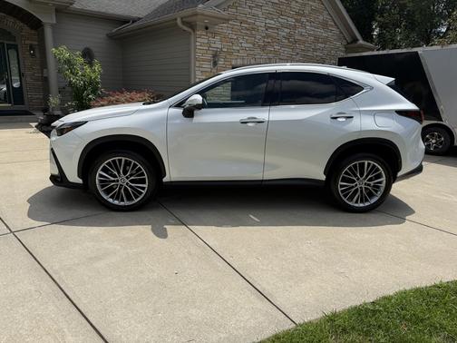 2022 Lexus NX 350 Luxury