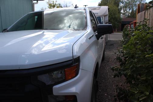 White 2023 Chevrolet Silverado 1500 WT