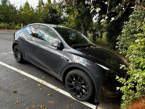 2025 Tesla Model Y Long Range RWD